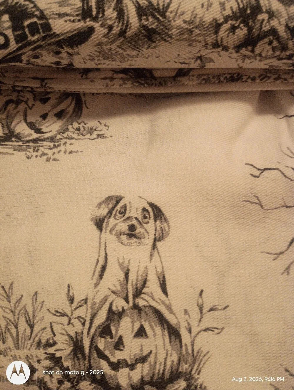 The Farmhouse Rachel Ashwell Ghost Dogs  Halloween Shower Curtain NWT